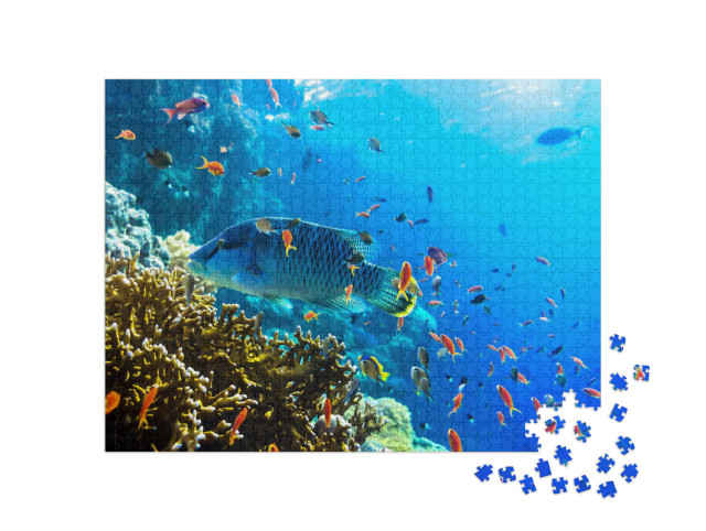 Puzzle 1000 Teile „Verschiedene Unterwasserfische, Blick unter Wasser, Riff“