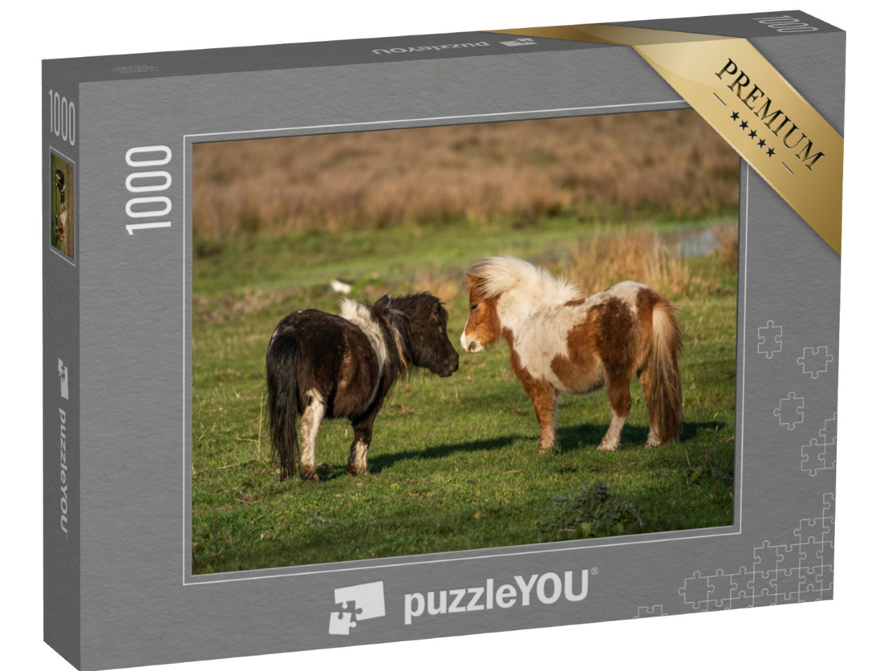 Puzzle 1000 Teile „Pony-Freunde: Shetlandponys auf den Weiden von Limburg, Niederlande“