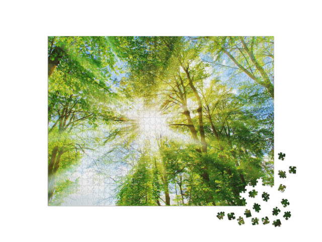 Puzzle 1000 Teile „Helle Sonnenstrahlen im Grün des Waldes“