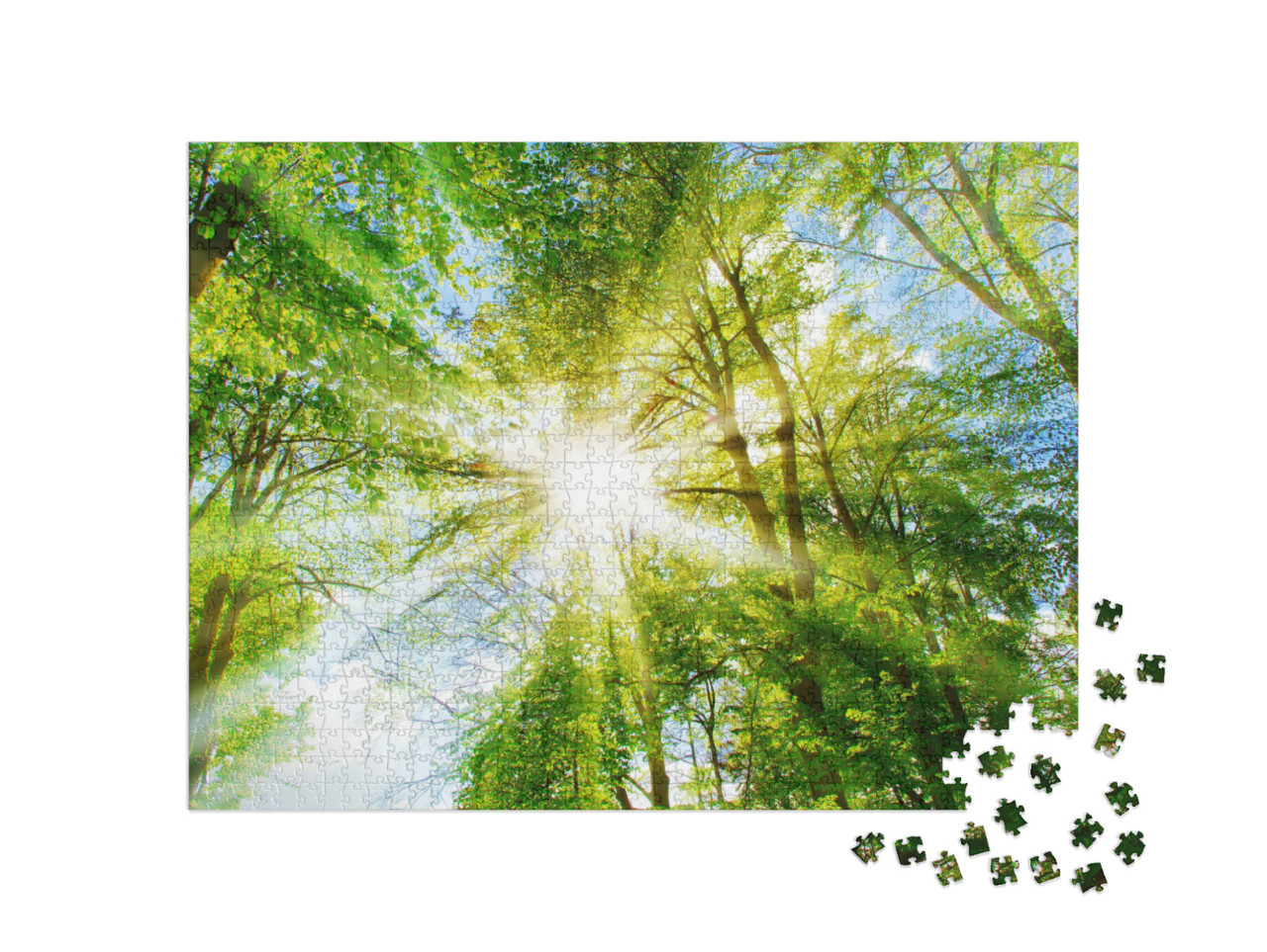 Puzzle 1000 Teile „Helle Sonnenstrahlen im Grün des Waldes“