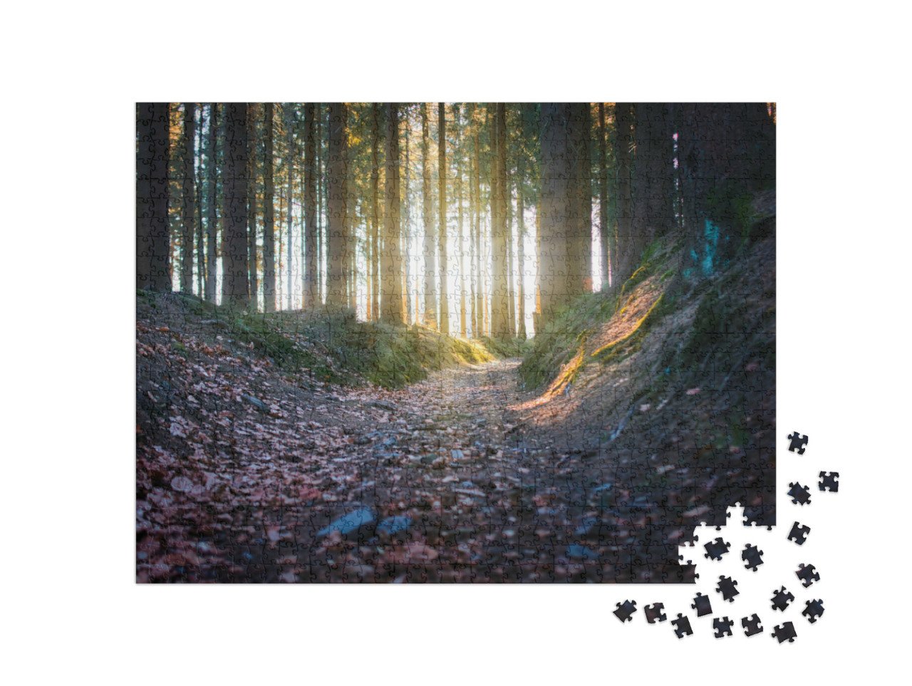 Puzzle 1000 Teile „Sonnenstrahlen im Wald, Rennsteig“