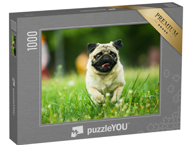 Puzzle 1000 Teile „Mops mit heraushängender Zunge auf einer Wiese“