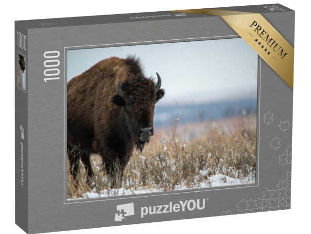 Puzzle 1000 Teile „Oklahoma Bison nach Schneefällen im Dezember“