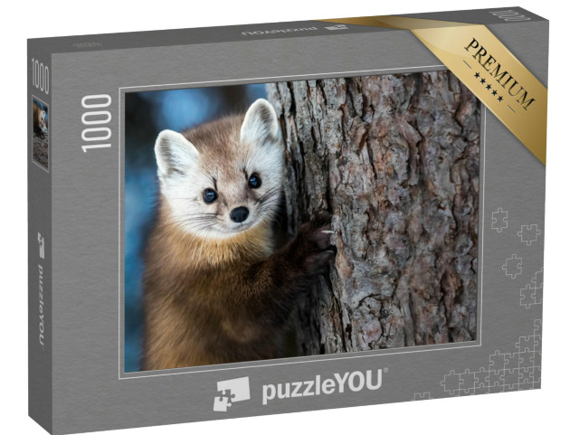 Puzzle 1000 Teile „Amerikanischer Marder beim Klettern“