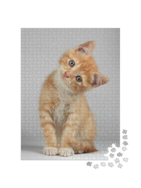 Puzzle 1000 Teile „Niedliches kleines Kätzchen“