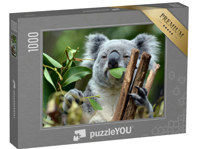 Puzzle 1000 Teile „Koala im Lone Pine Koala-Schutzgebiet in Brisbane“