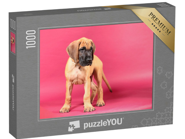 Puzzle 1000 Teile „Rehbraune Deutsche Dogge, Welpenporträt“
