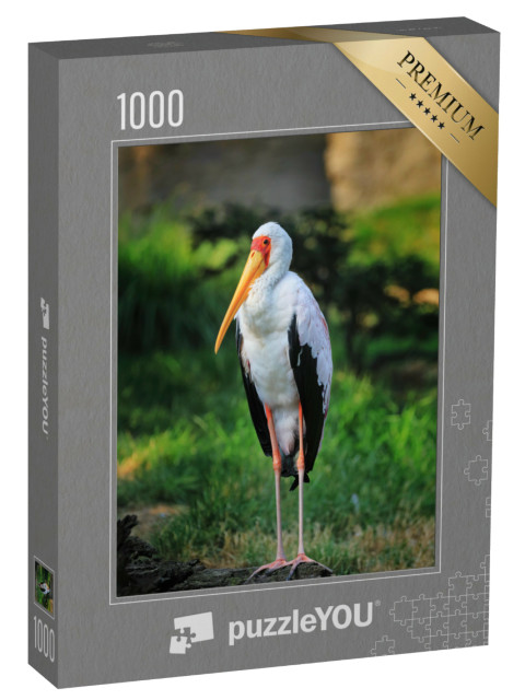Puzzle 1000 Teile „Afrikanischer Gelbschnabelstorch, Mycteria ibis, stehend auf einem alten Baumstamm“