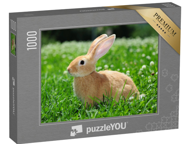 Puzzle 1000 Teile „Kaninchen in der Natur“