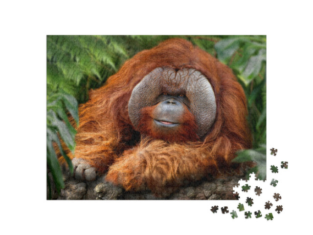 Puzzle 1000 Teile „Tropischer Regenwald mit Orang-Utans“