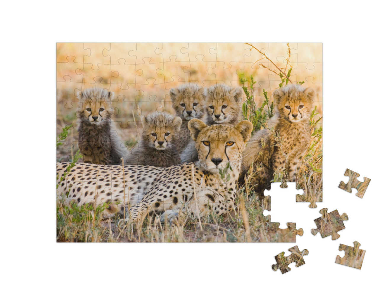 Puzzle 100 Teile „Gepardenmutter und ihre Jungtiere in der Savanne, Kenia“