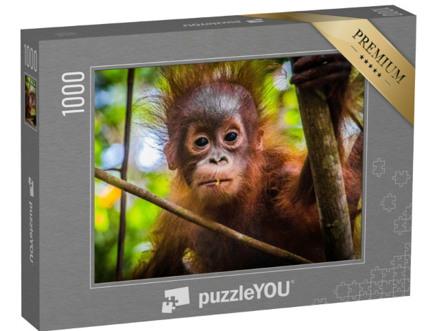 Puzzle 1000 Teile „Das niedlichste Orang-Utan-Baby der Welt blickt in Borneo in die Kamera“