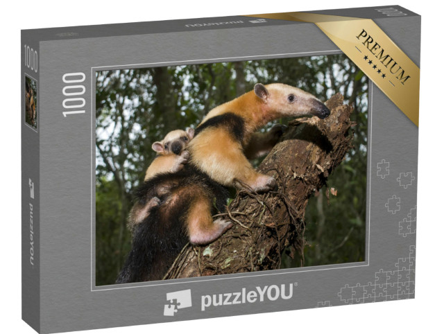 Puzzle 1000 Teile „Südlicher Tamandua, Espírito Santo, Brasilien“