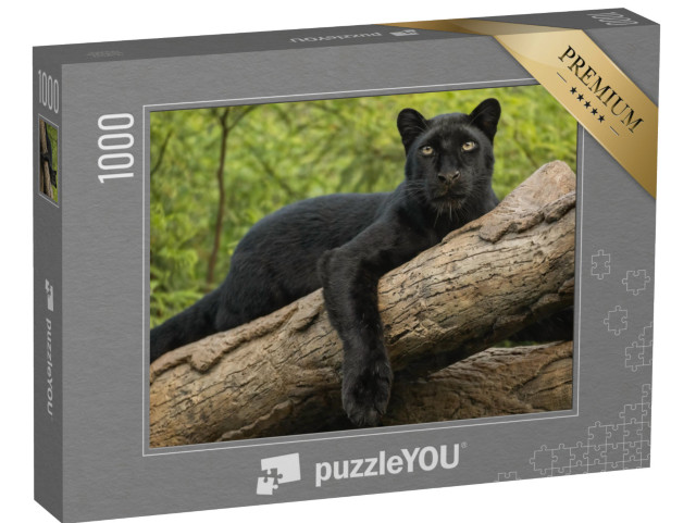 Puzzle 1000 Teile „Wildkatze, schwarzer Panther auf einem Baumstamm sitzend“