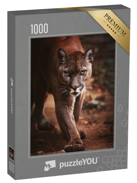 Puzzle 1000 Teile „Ein Puma schleicht sich an“