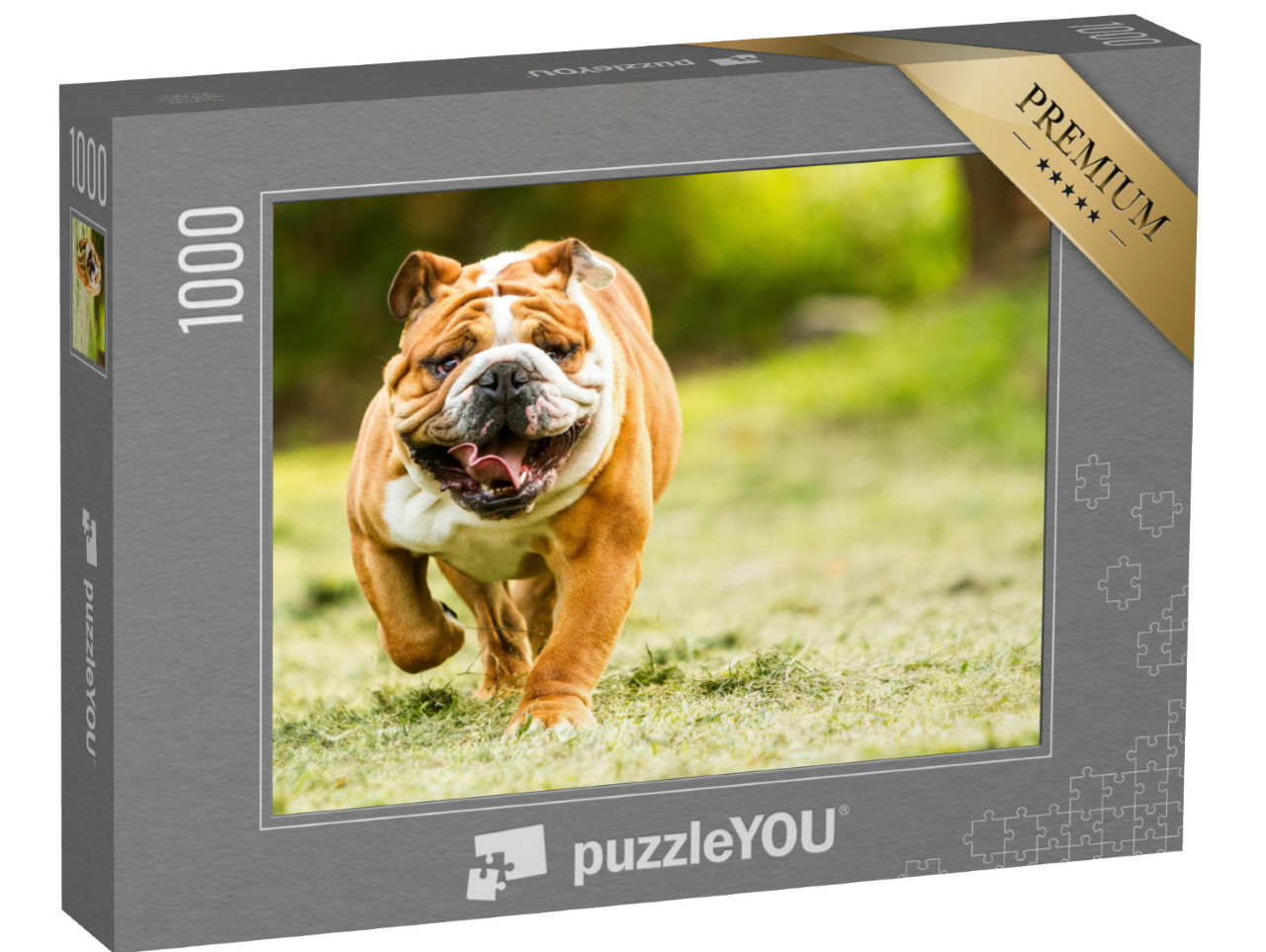 Puzzle 1000 Teile „Bulldogge auf einer Wiese“