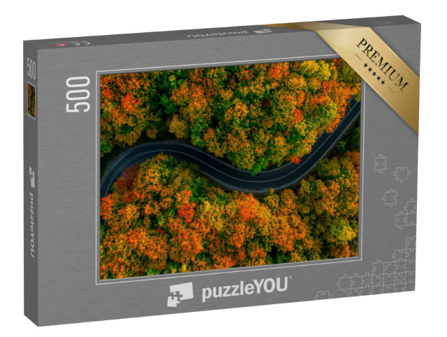 Puzzle 500 Teile „Vogelperspektive: Gewundene Straße im dichten Herbstwald“