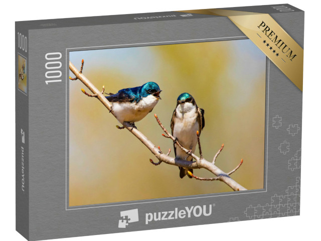Puzzle 1000 Teile „Blau schimmernde Baumschwalben auf einem Zweig“