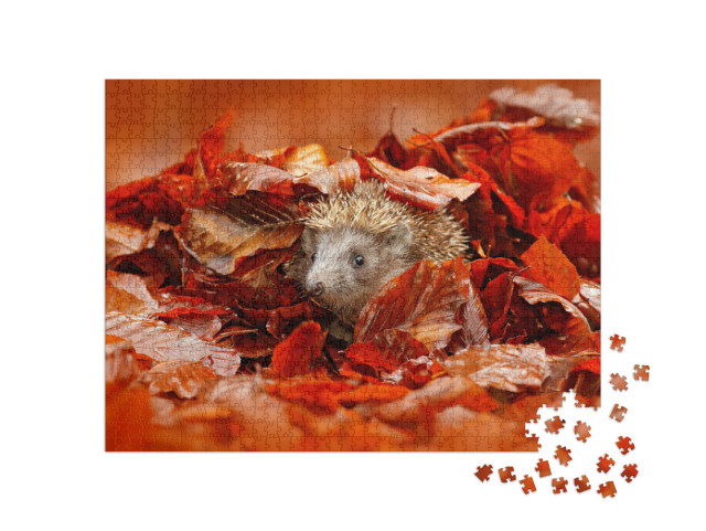 Puzzle 1000 Teile „Kleiner Igel versteckt im bunten Herbstlaub“