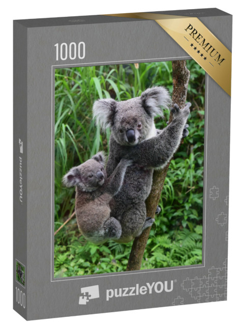 Puzzle 1000 Teile „Koala-Baby auf dem Rücken seiner Mutter im Zoo von Taipeh, Taiwan“