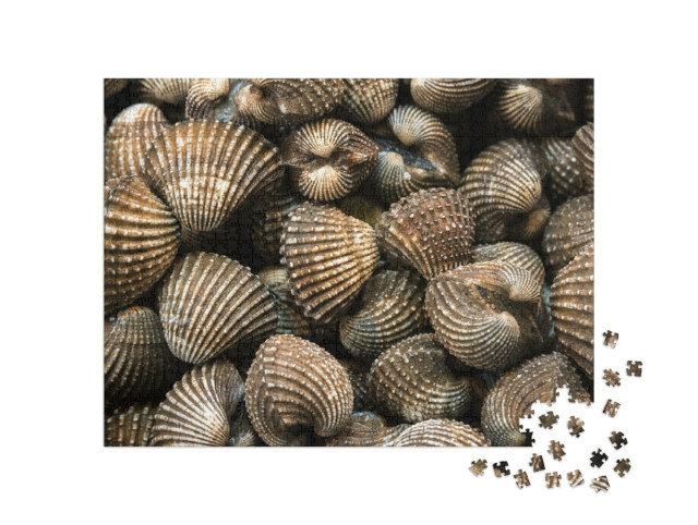 Puzzle 1000 Teile „Schalen auf Eis“