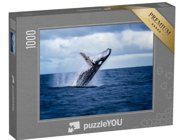 Puzzle 1000 Teile „Buckelwal springt aus dem Wasser und sprüht es umher, Australien“