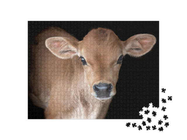 Puzzle 1000 Teile „Süßes Jersey Kalb“