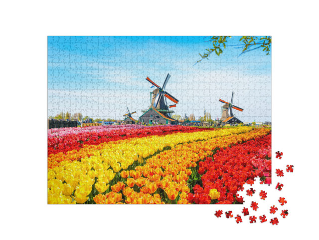 Puzzle 1000 Teile „Tulpen und Windmühlen in Zaanse Schans, Niederlande“