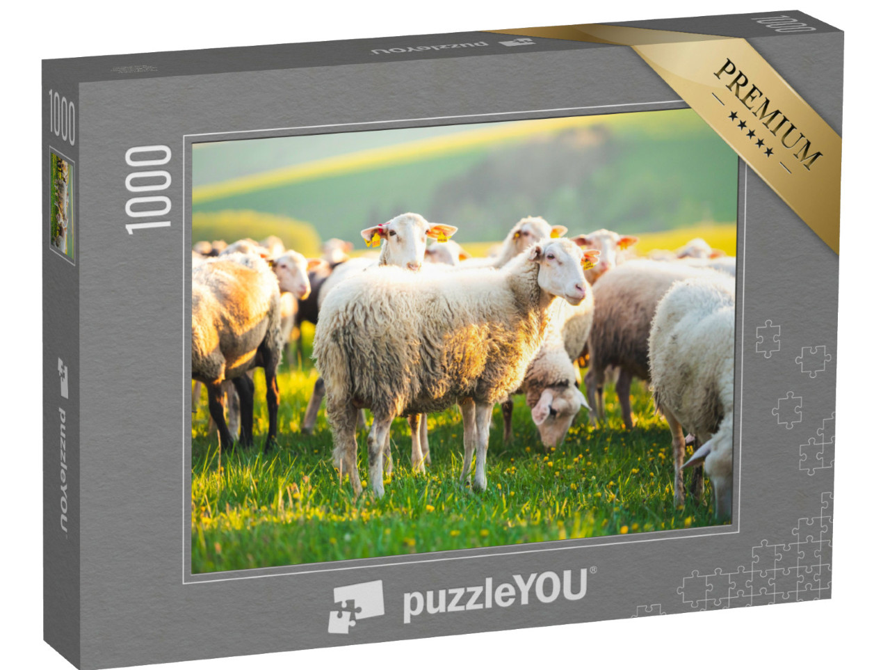 Puzzle 1000 Teile „Schafe auf einer Wiese, auf grünem Gras bei Sonnenuntergang“