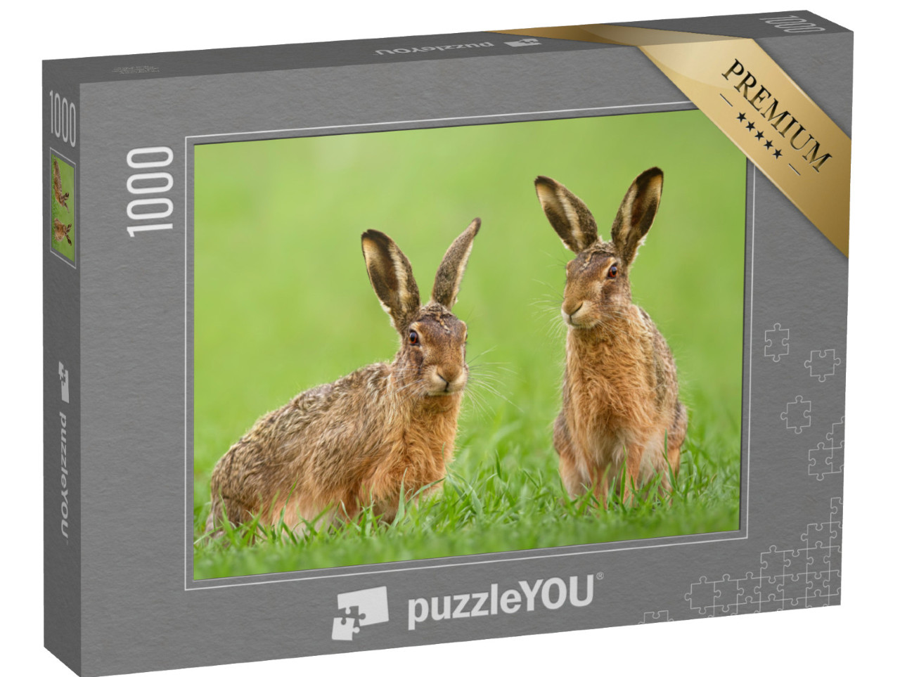 Puzzle 1000 Teile „Zwei Feldhasen auf einer Wiese im Frühling“