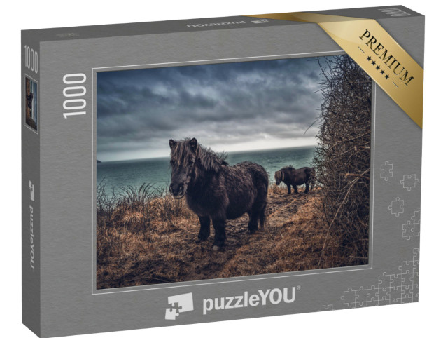 Puzzle 1000 Teile „Shetlandponys an der Küste von Cornwall“