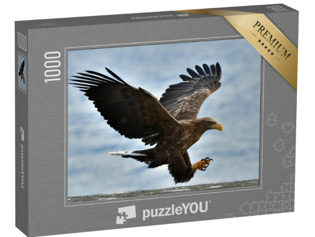 Puzzle 1000 Teile „Seeadler fliegt vor blauem Himmel“