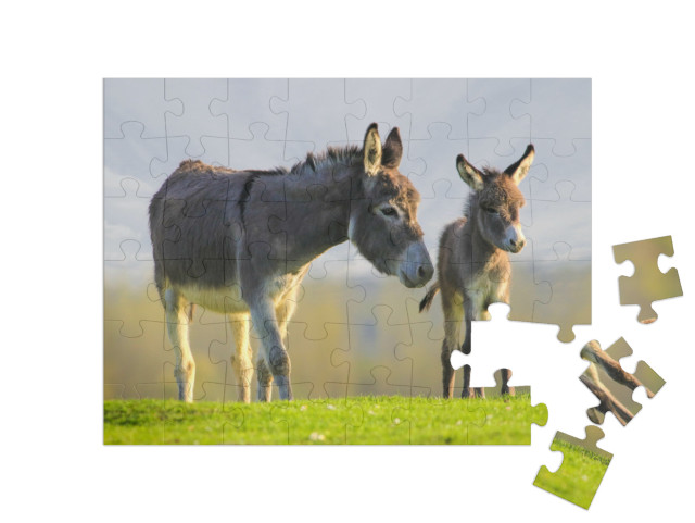 Puzzle 48 Teile „Graues niedliches Eselbaby und Mutter auf Blumenwiese“