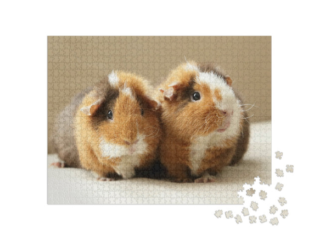 Puzzle 1000 Teile „Zwei niedliche Meerschweinchen“
