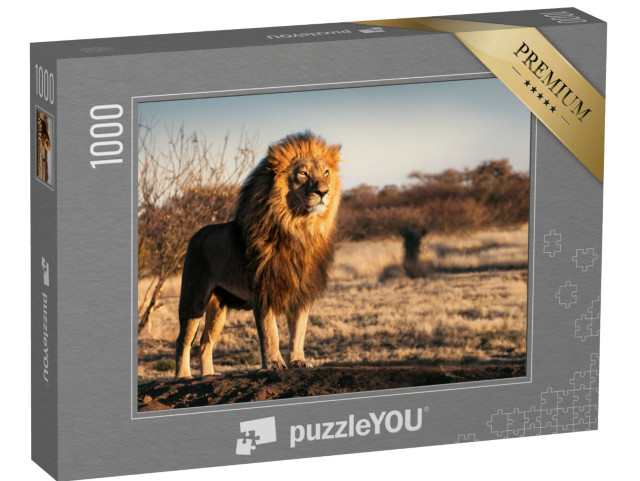 Puzzle 1000 Teile „Einzelner Löwe mit königlichem Aussehen“