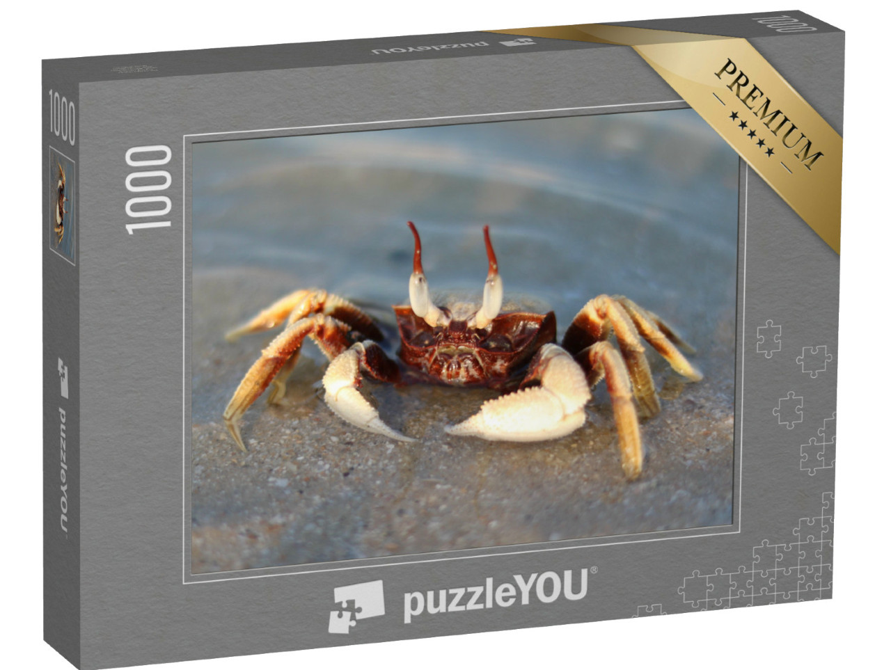 Puzzle 1000 Teile „Geisteraugenkrabbe im Meer“