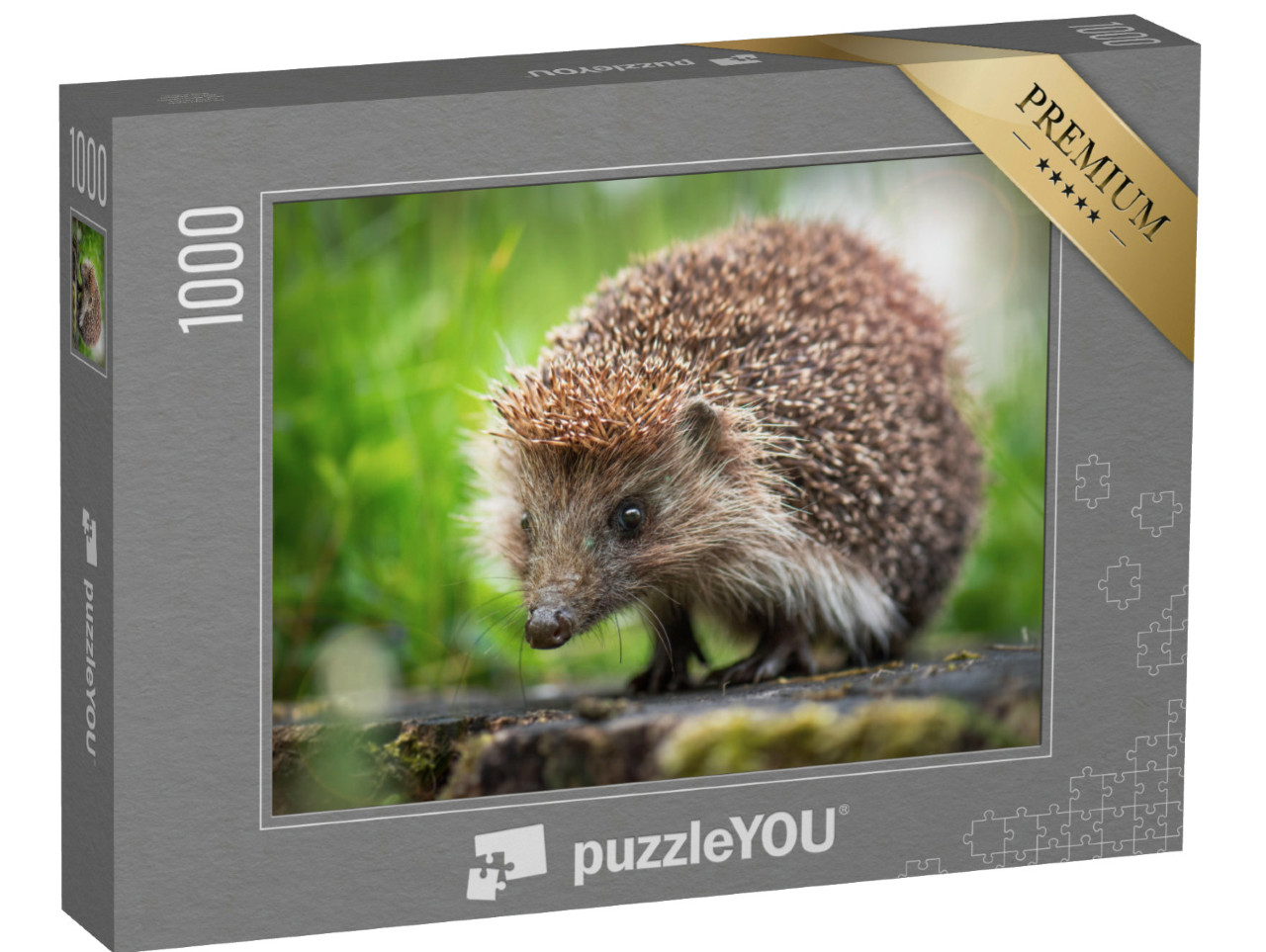 Puzzle 1000 Teile „Ein kleiner Igel auf einem Baumstumpf“