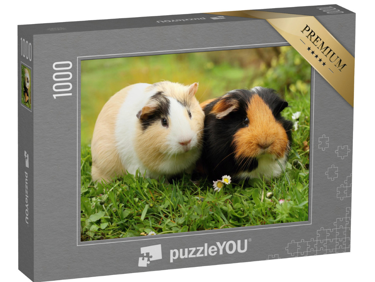 Puzzle 1000 Teile „Zwei süße Meerschweinchen“