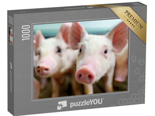 Puzzle 1000 Teile „Süße Ferkel“