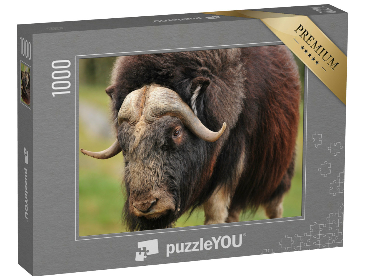 Puzzle 1000 Teile „Porträt eines ausgewachsenen Moschusochsen“