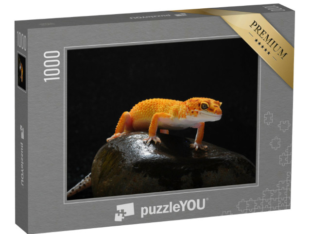 Puzzle 1000 Teile „Gecko, Eidechse, Leopard-Eidechsengecko“