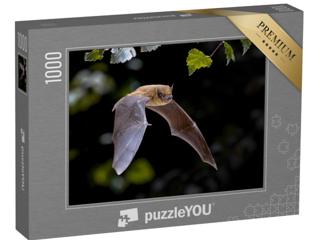 Puzzle 1000 Teile „Pipistrelle Fledermaus beim Flug durch den Wald“