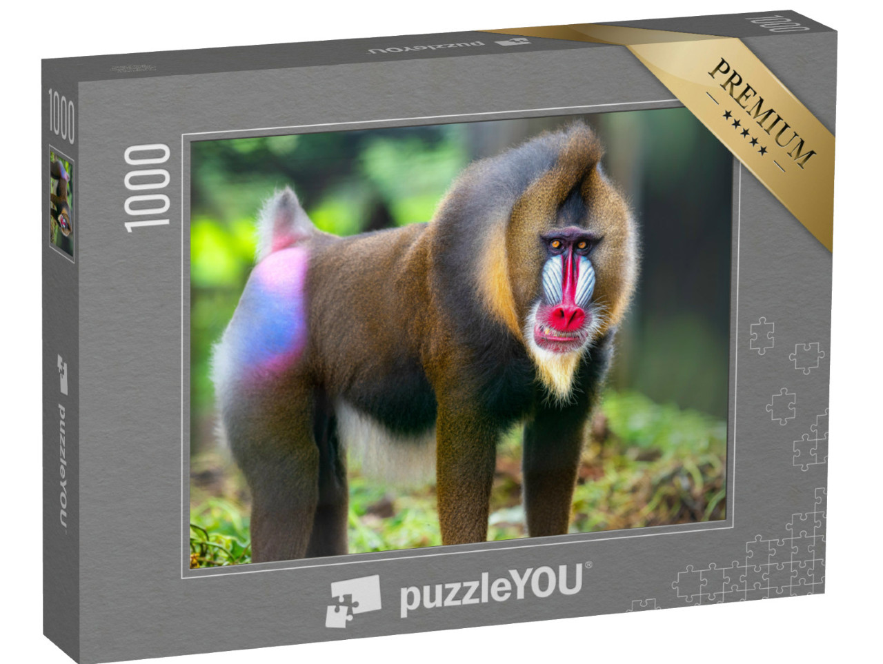 Puzzle 1000 Teile „Portraitaufnahme von Mandrill, bekannte Affen“