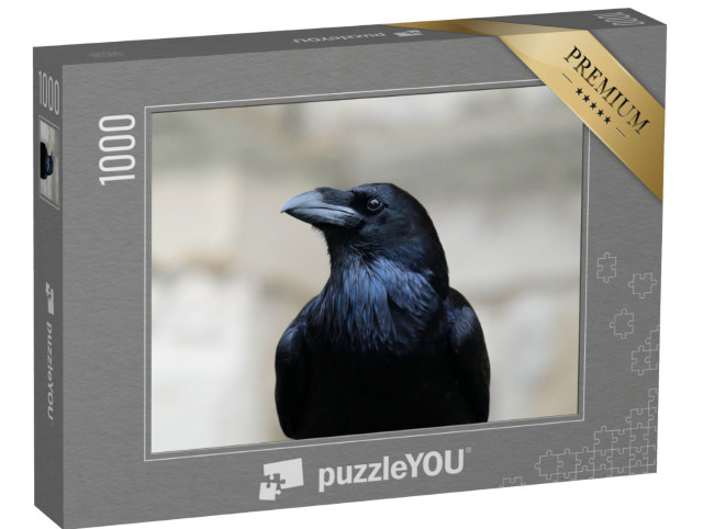 Puzzle 1000 Teile „Nahaufnahme eines Kolkraben“