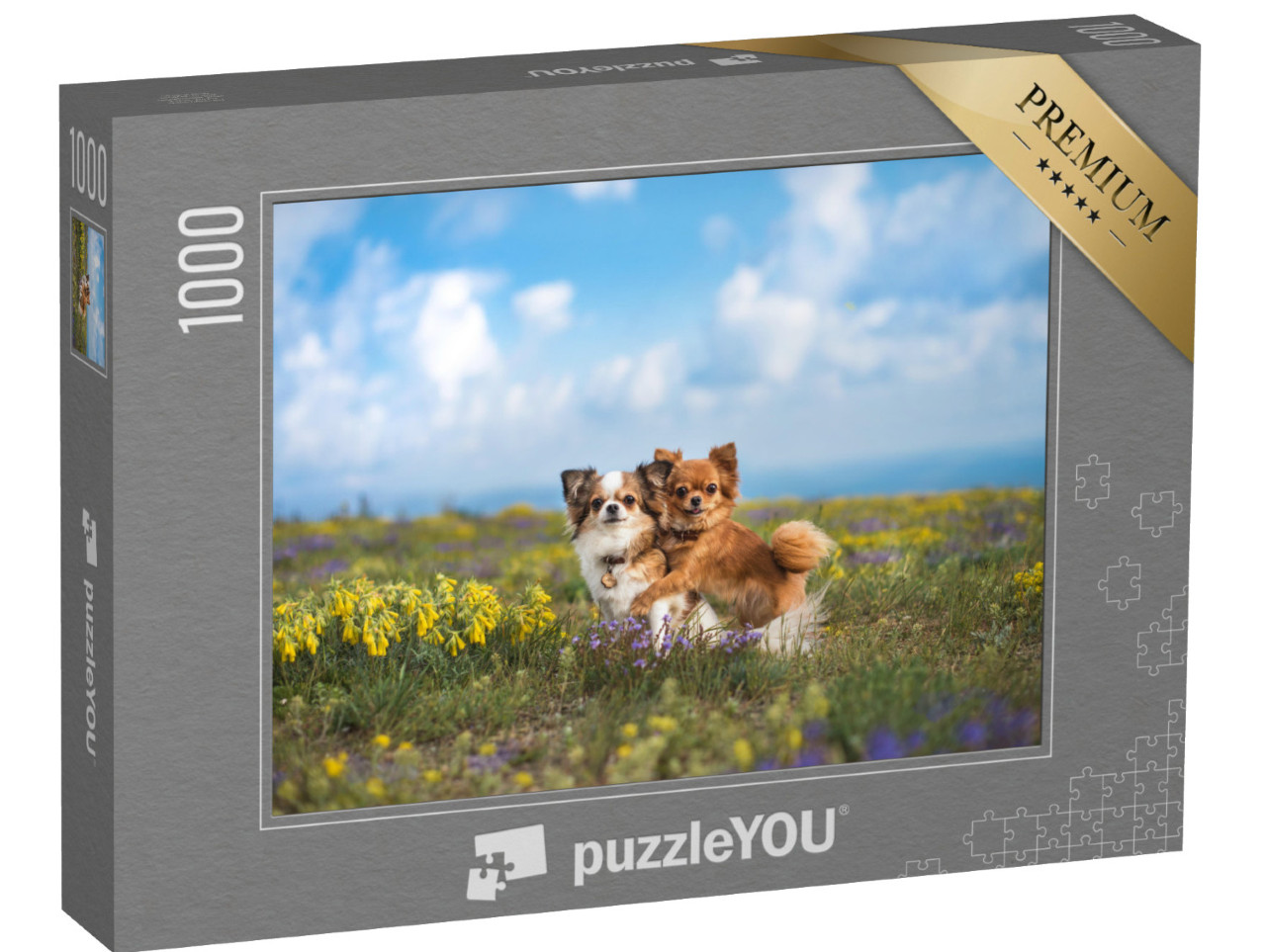 Puzzle 1000 Teile „Chihuahua auf der grünen Wiese“