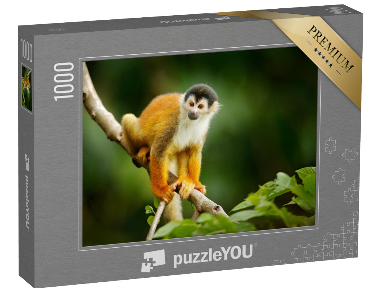 Puzzle 1000 Teile „Totenkopfäffchen, Saimiri oerstedii, auf einem Baumstamm, Costa Rica“