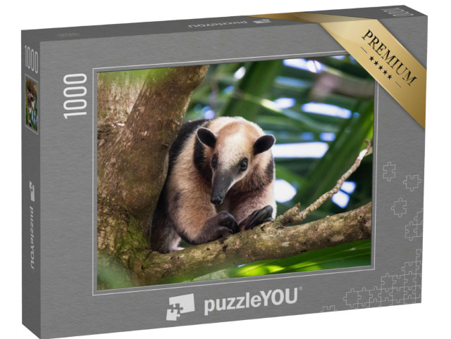 Puzzle 1000 Teile „Baumameisenbär, Costa Rica“