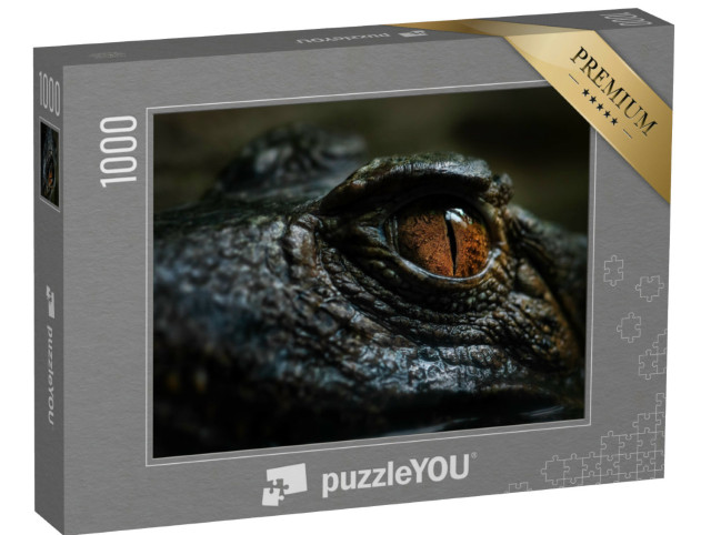 Puzzle 1000 Teile „Augendetail eines kleinen südamerikanischen Krokodils, Brasilien“