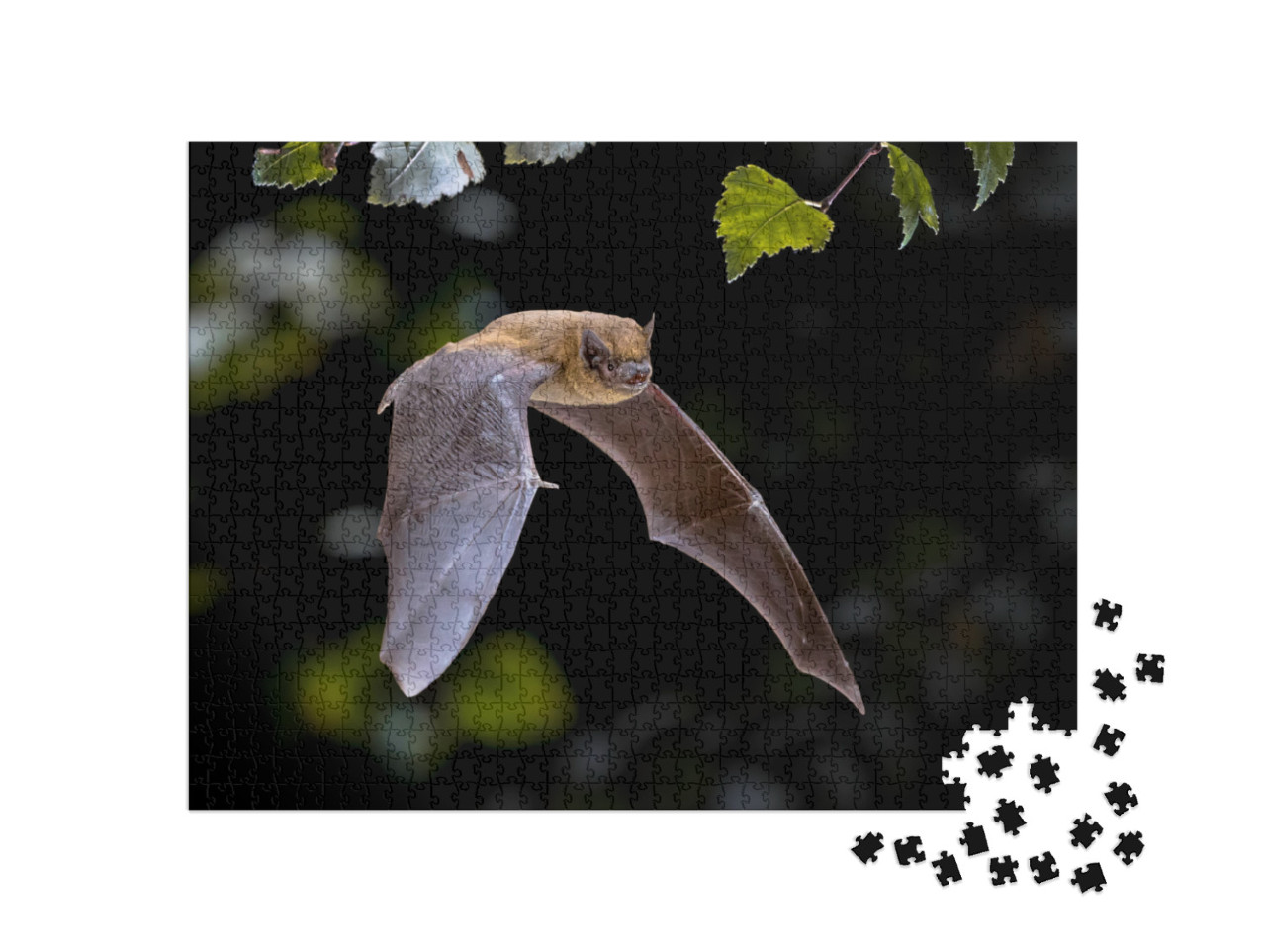 Puzzle 1000 Teile „Pipistrelle Fledermaus beim Flug durch den Wald“