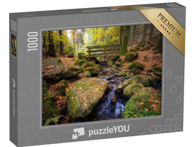 Puzzle 1000 Teile „Silberbachtal: der Teutoburger Wald im Herbst, Horn-Bad Meinberg, Detmold“